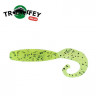 Силикон Kalipso Greedy Grub 2" (10шт) 300 CPP