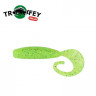 Силикон Kalipso Greedy Grub 2" (10шт) 305 CSGG