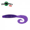 Силикон Kalipso Crooked Grub 2.5" (10шт) 205 PV