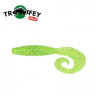 Силикон Kalipso Crooked Grub 2.5" (10шт) 305 CSGG
