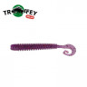 Силикон Kalipso Frizzle Curly Tail 2.5" (10шт) 200 EV