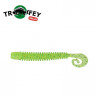 Силикон Kalipso Frizzle Curly Tail 2.5" (10шт) 305 CSGG