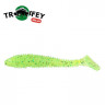 Силикон Kalipso Frizzle Fat Shad 4.8″ (5шт) 305 CSGG