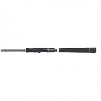 Спиннинг tailwalk salty shape shore stick 96M