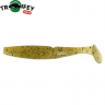 Силикон Kalipso Paunchy Shad 2"(8шт) 305 CSGG  NEW 2018